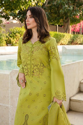 img_rang_rasiya_carnation_awwal_boutique