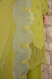 img_rang_rasiya_carnation_awwal_boutique