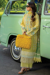 img_rang_rasiya_lawn_carnation_24_awwal_boutique