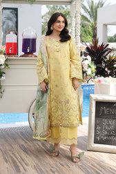 img_rang_rasiya_florence_awwal_boutique
