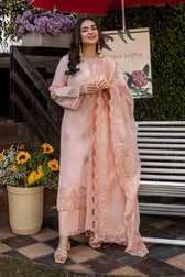 img_rang_rasiya_florence_awwal_boutique