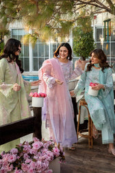 img_rang_rasiya_florence_awwal_boutique