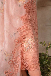 img_rang_rasiya_eid_collection_awwal_boutique