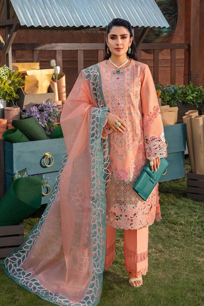 img_rang_rasiya_eid_collection_awwal_boutique