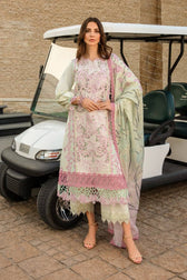 img_rang_rasiya_carnation_awwal_boutique