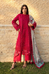 img_rang_rasiya_carnation_awwal_boutique