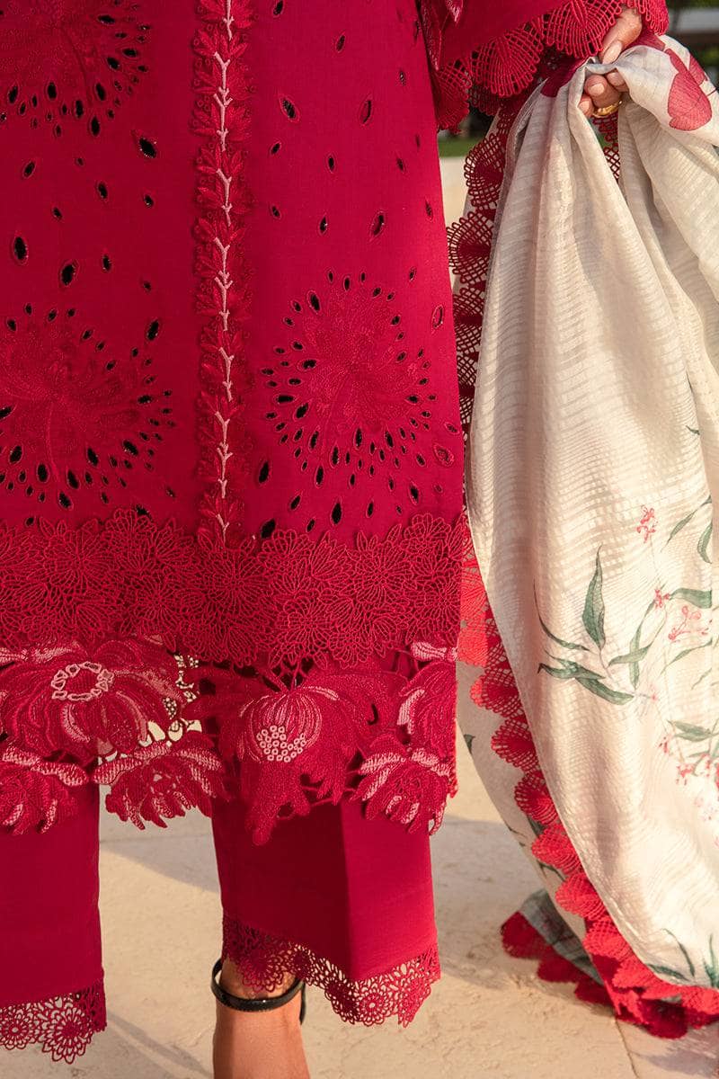 img_rang_rasiya_carnation_awwal_boutique