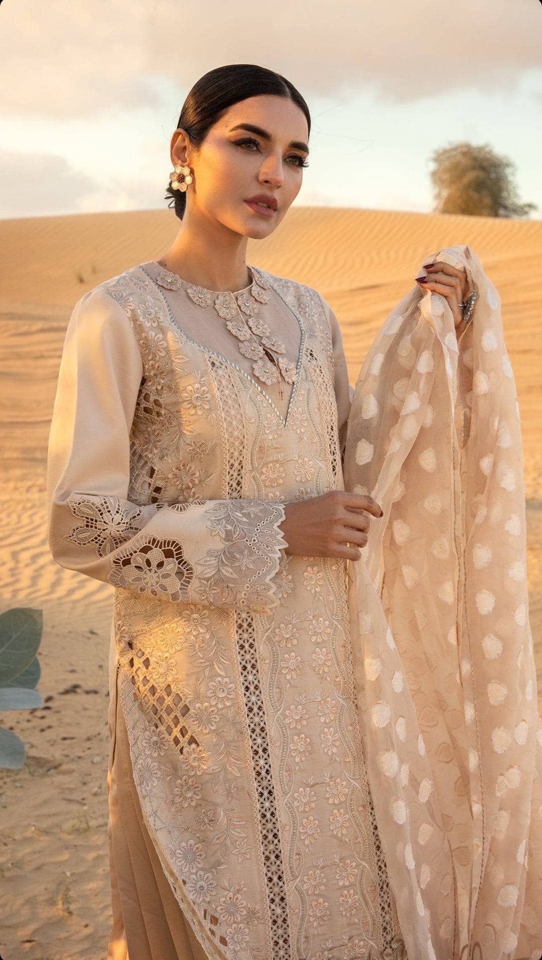 img_rang_rasiya_premium_lawn_24_awwal_boutique