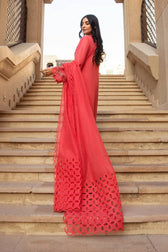 img_rang_rasiya_premium_lawn_24_awwal_boutique