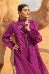 img_rang_rasiya_premium_lawn_24_awwal_boutique