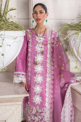 img_rang_rasiya_carnation_awwal_boutique