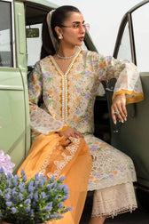 img_rang_rasiya_carnation_lawn_23_awwal_boutique