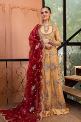 img_roheenaz_naira_chiffon_awwal_boutique