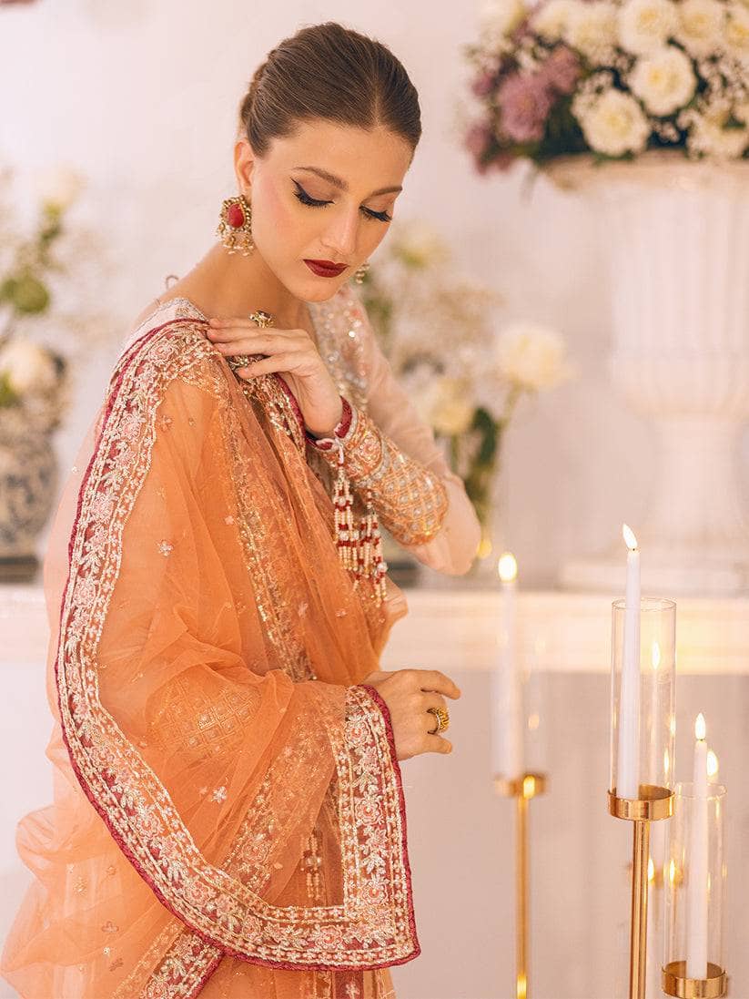 img_roheenaz_luxury_chiffon_awwal_boutique