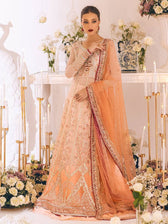 img_roheenaz_luxury_chiffon_awwal_boutique