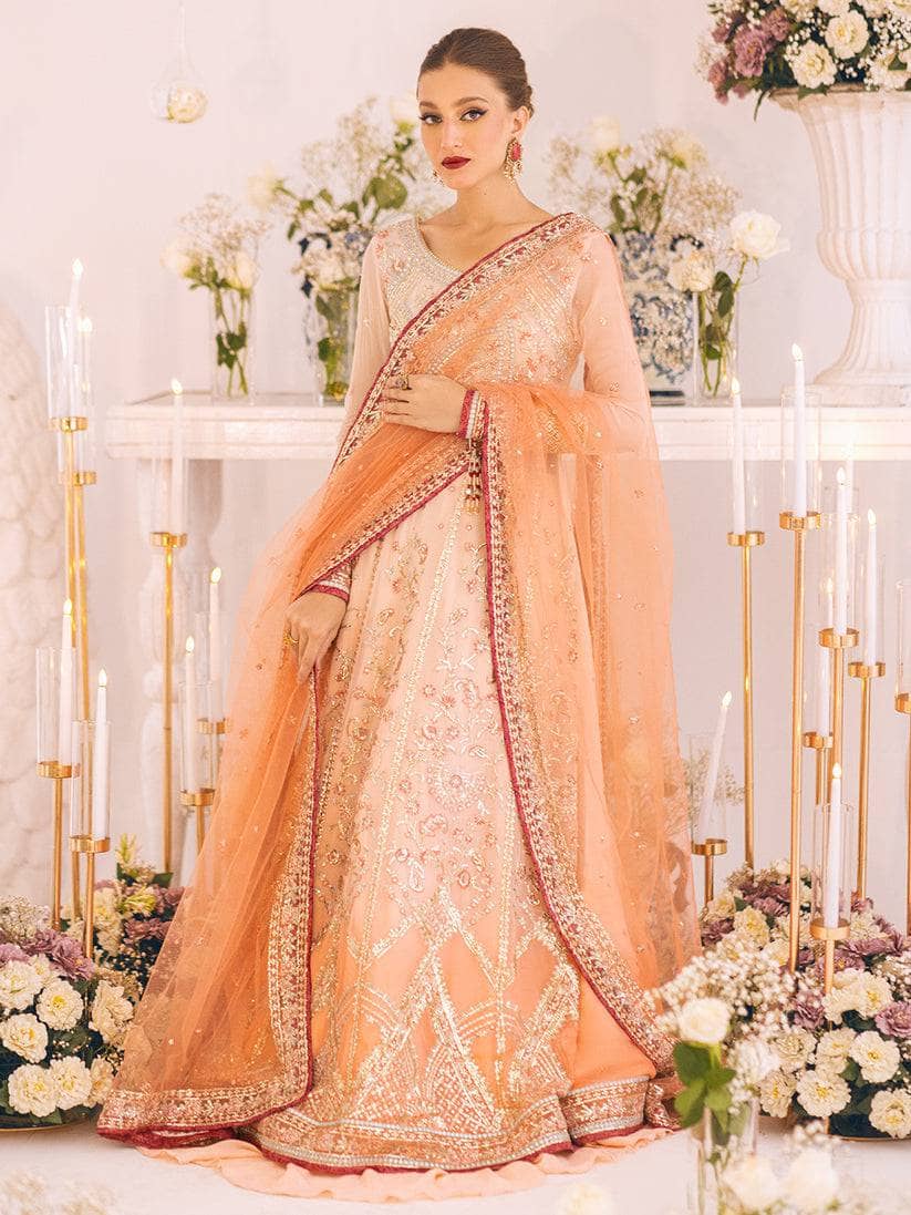 img_roheenaz_luxury_chiffon_awwal_boutique
