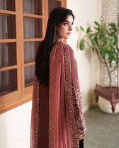 Roheenaz Mah E Noor Silk/Zarnish/Brown