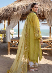 img_saira_shakira_lawn_awwal_boutique