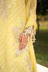 img_sana_safinaz_lawn_24_awwal_boutique
