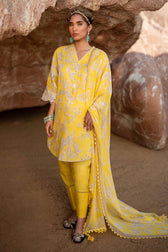 img_sana_safinaz_mahay_24_awwal_boutique