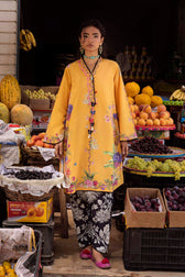 Sana Safinaz Mahay 26/Vol 4/5A/Shirt Bottom Set