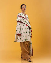 img_mahay_by_sana_safinaz_winter_awwal_boutique