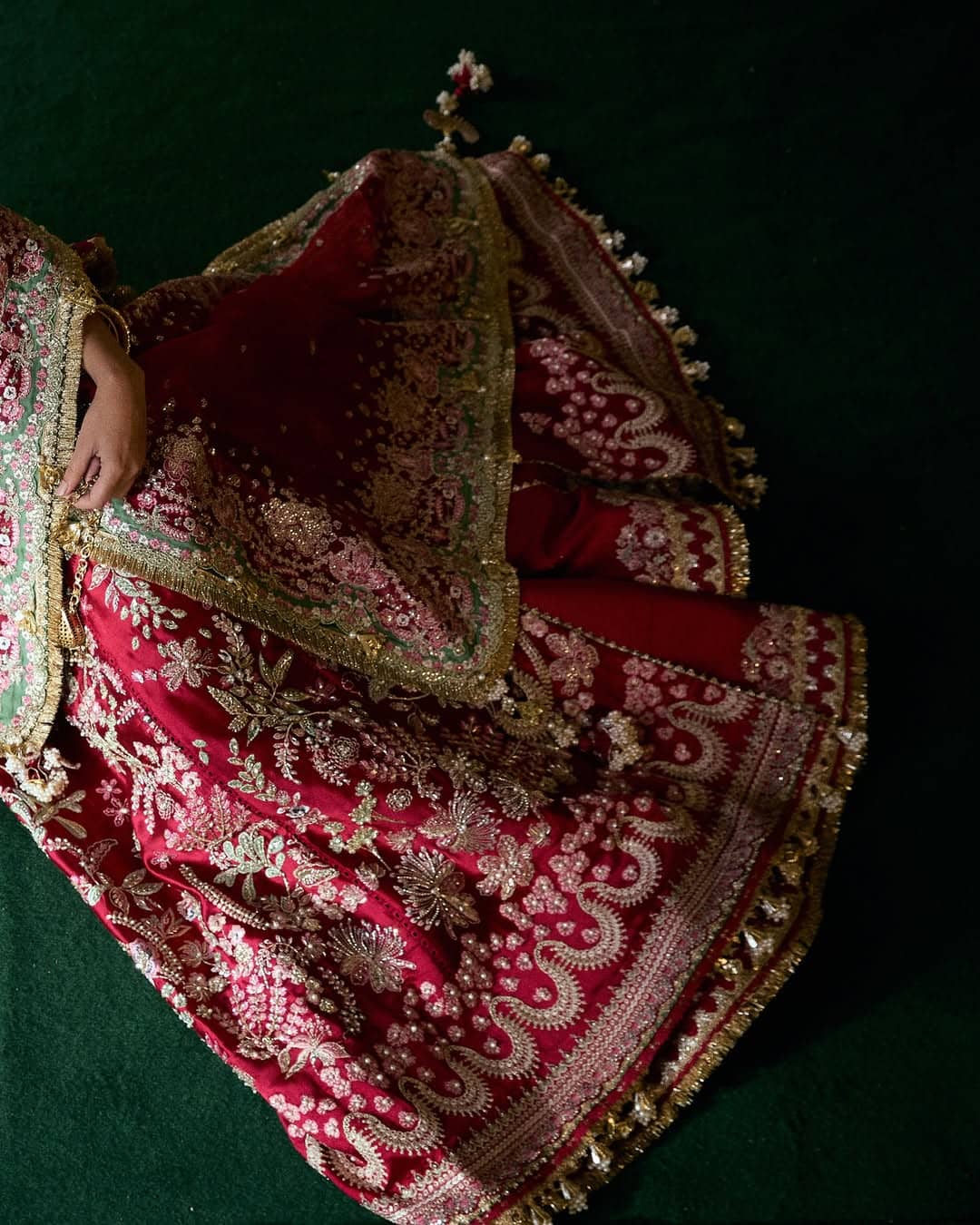 Suffuse Freesia by Sana Yasir/Afsane