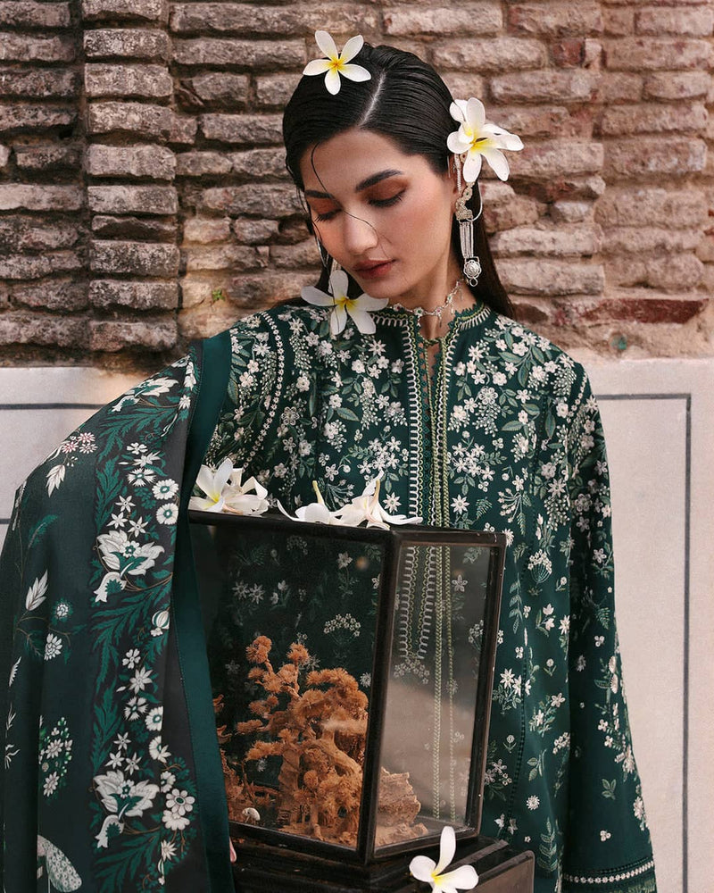 Restocked/.Jugnu Lahore/Khaddar/Bita/Deep Green