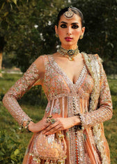 img_zaib_un_nisa_by_hussain_rehar_awwal_boutique