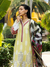 Zainab Chottani Lawn Pakistani Suit Zainab Chottani Chikankari Lawn 25/Rayne-12A