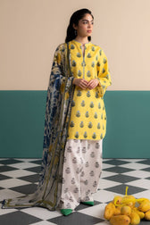 img_zara_shahjahan_coco_prints_awwal_boutique