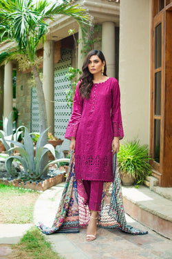 img_kalyan_festive_schiffly_lawn_collection_awwal_boutique