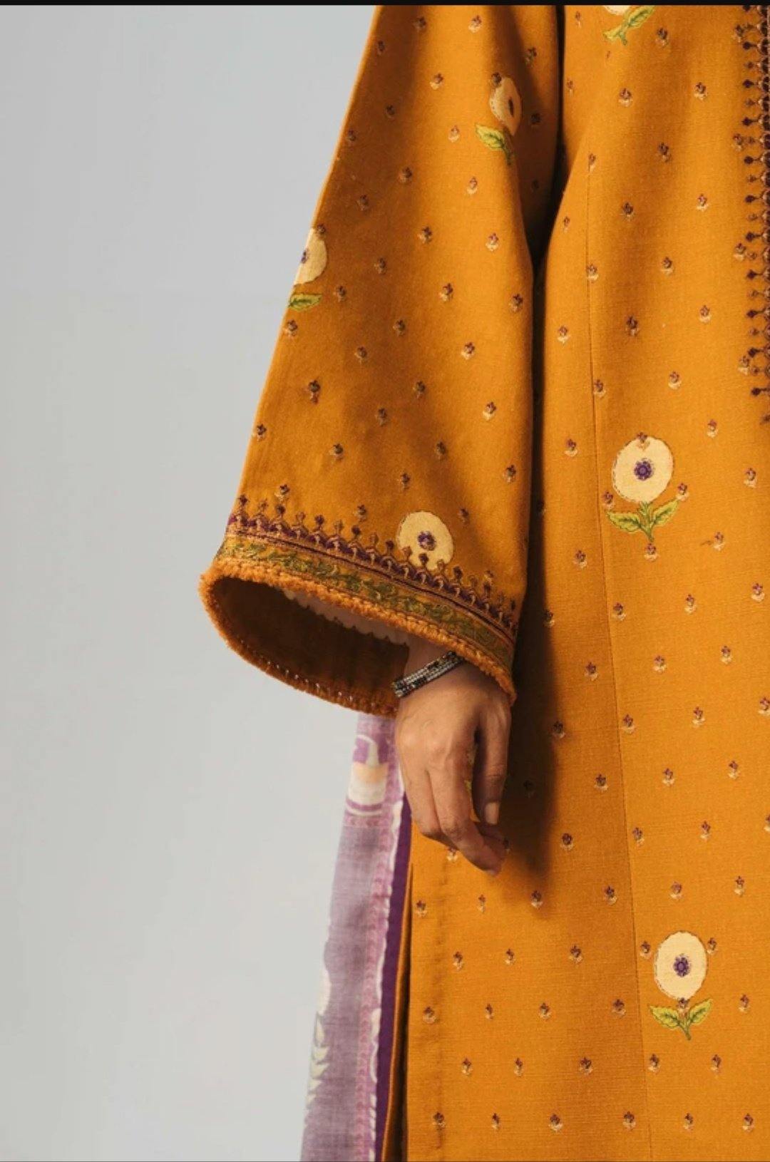 img_coco_winter_by_zara_shahjahan_awwal_boutique