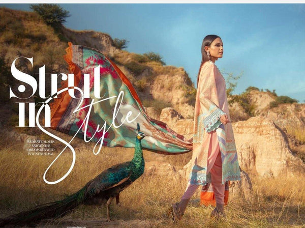 img_sana_safinaz_winter_shawl_2020_awwal_boutique