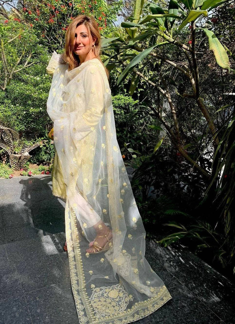 img_spotted_in_zara_shahjahan_lawn_2021_awwal_boutique