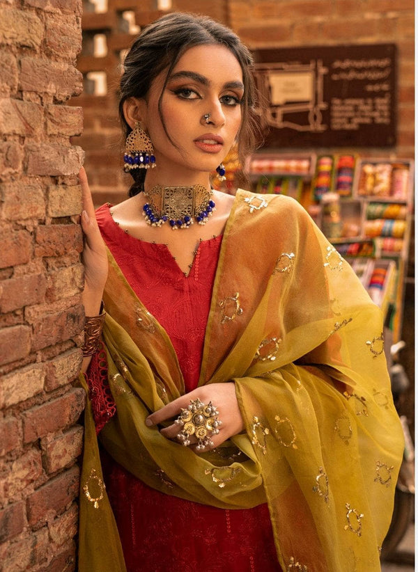 img_nureh_bazar_with_mukesh_dupatta_awwal_boutique