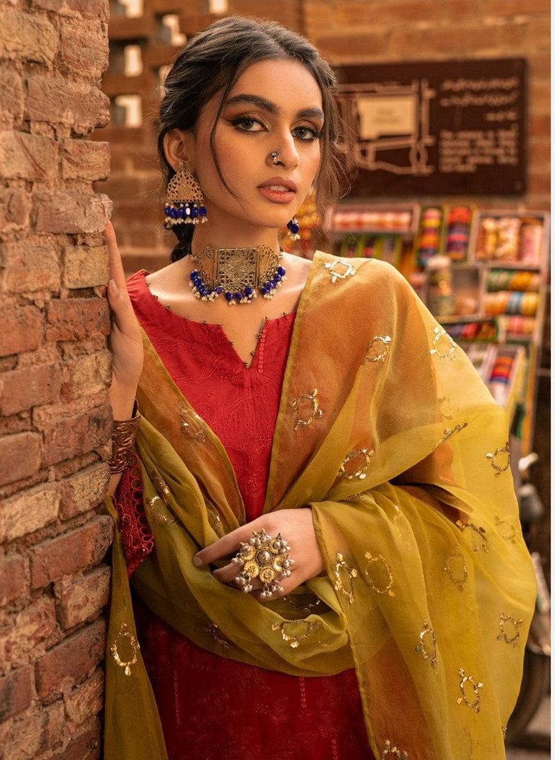 img_nureh_bazar_with_mukesh_dupatta_awwal_boutique