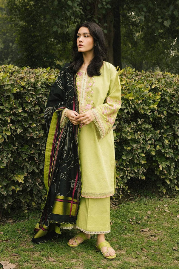 img_coco_lawn_2022_by_zara_shahjahan_awwal_boutique