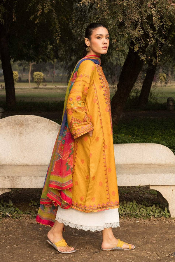 img_coco_by_zara_shahjahan_awwal_boutique