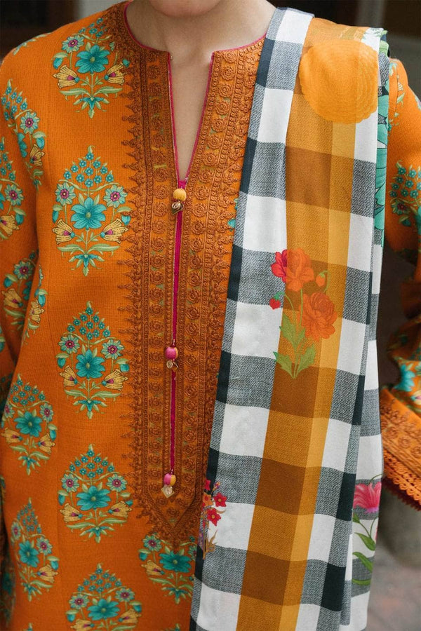 img_zara_shahjahan_coco_winter_21_awwal_boutique