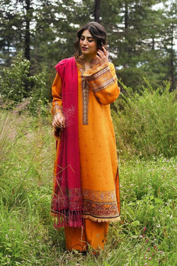Img_coco_by_zara_shahjahan_winter_22_awwal_boutique