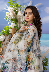 img_adans_libas_schiffli_chikankari_chiffon_awwal_boutique