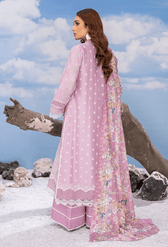 img_adans_libas_fuchsia_2_awwal_boutique