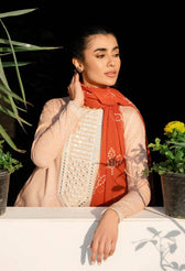 img_cross_stitch_basant_lawn_23_awwal_boutique
