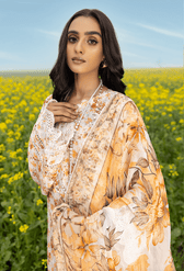 img_adans_libas_sarson_awwal_boutique