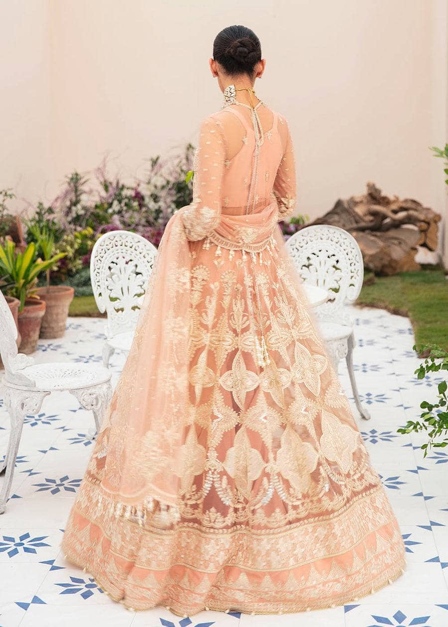 img_afrozeh_la_fuchsia_awwal_boutique