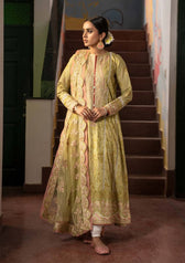 Restocked\Aik Dareeche Lawn/Vol 3/Look 1