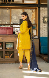img_banarsi_printed_lawn_collection_awwal_boutique