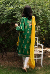 img_coco_by_zara_shahjahan_vol_2_awwal_boutique