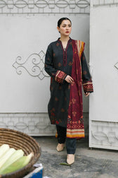 img_zara_shahjahan_coco_winter_21_awwal_boutique